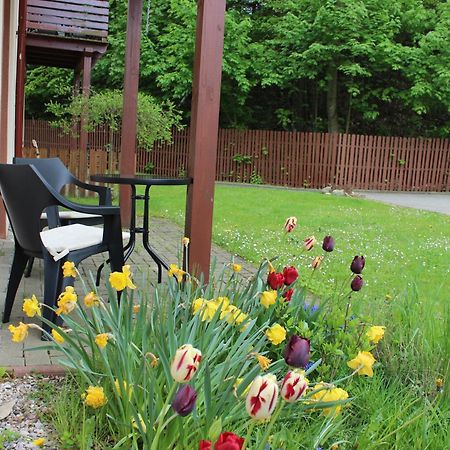 Apartament Kolorowy Pod Sniezka Karpacz Buitenkant foto